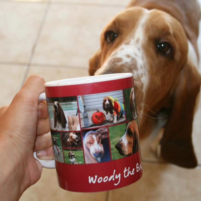 10 Mugs to Make for Pumpkin Spice Season!