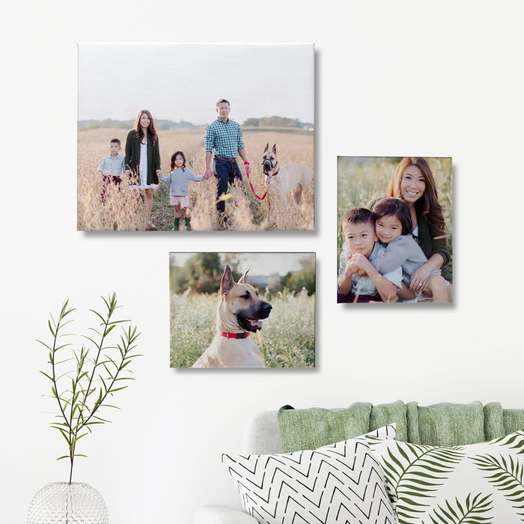 3 large size canvas prints hanging over a couch